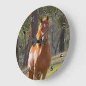 Paarden in de Bossen Grote Klok (Hoek)