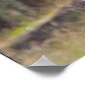 Paarden in de Bossen Poster (Hoek)