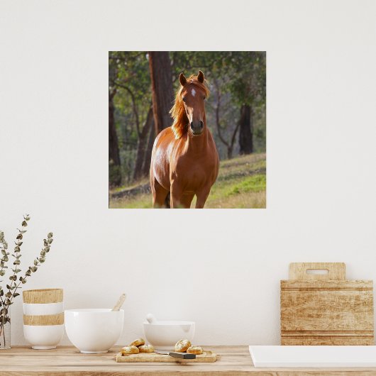 Paarden in de Bossen Poster (Keuken)