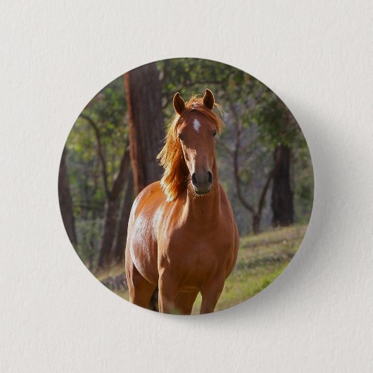Paarden in de Bossen Ronde Button 5,7 Cm (Voorkant)