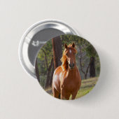 Paarden in de Bossen Ronde Button 5,7 Cm (Voorkant /achterkant)