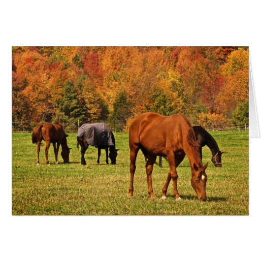 Paarden in de herfst Blank Kaart (Voorkant Horizontaal)
