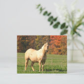 Paarden in de Herfst Briefkaart (Staand voorkant)