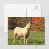 Paarden in de Herfst Briefkaart (Voorkant / Achterkant)