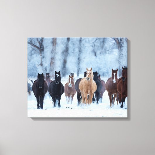 Paarden in de kou canvas afdruk (Voorkant)