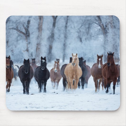 Paarden in de kou muismat (Voorkant)