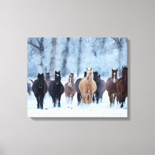 Paarden in de koude canvas afdruk
