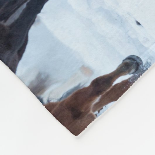 Paarden in de koude fleece deken (Hoek)