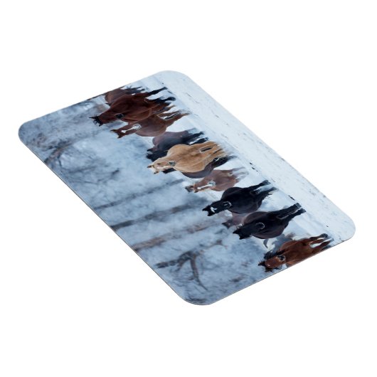 Paarden in de koude magneet (Rechterzijde)