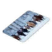 Paarden in de koude magneet (Linkerzijde)