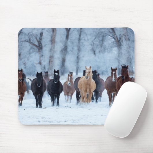 Paarden in de koude muismat (Met muis)