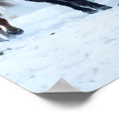 Paarden in de koude poster (Hoek)