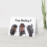 Paarden in de mond gekeken. 3 paarden lachend.