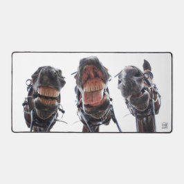 Paarden in de mond gekeken. 3 paarden lachend. bureaumat