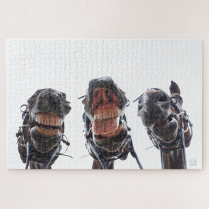 Paarden in de mond gekeken. 3 paarden lachend. leg legpuzzel