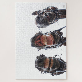 Paarden in de mond gekeken. 3 paarden lachend. leg legpuzzel