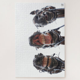 Paarden in de mond gekeken. 3 paarden lachend. legpuzzel