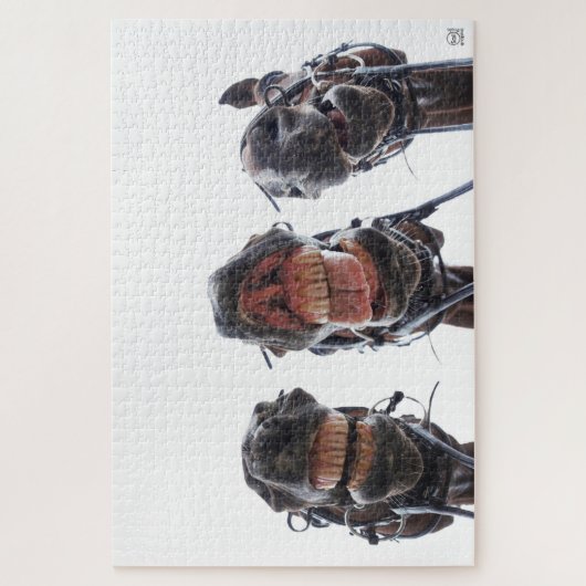 Paarden in de mond gekeken. 3 paarden lachend. legpuzzel (Verticaal)