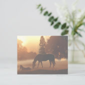 Paarden in de Morning Fog2 Briefkaart (Staand voorkant)