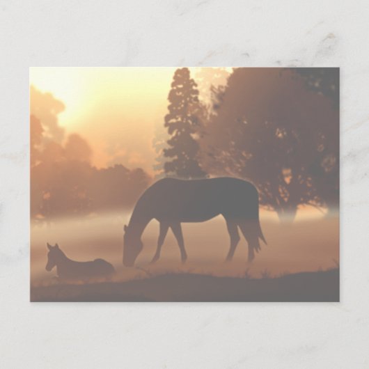 Paarden in de Morning Fog2 Briefkaart (Voorkant)