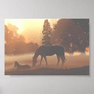 Paarden in de Morning Fog Poster