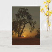 Paarden in de Natuur Beauful Enmoegement Kaart (Gele Bloem)