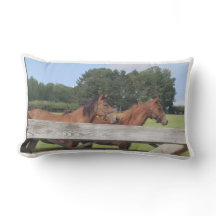 Paarden in de natuur