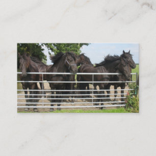 Paarden in de omheining visitekaartje