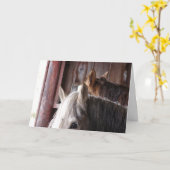 Paarden in de schuur, verjaardag kaart (Gele Bloem)