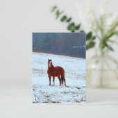 Paarden in de sneeuw briefkaart (Staand voorkant)