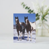 Paarden in de sneeuw briefkaart (Staand voorkant)