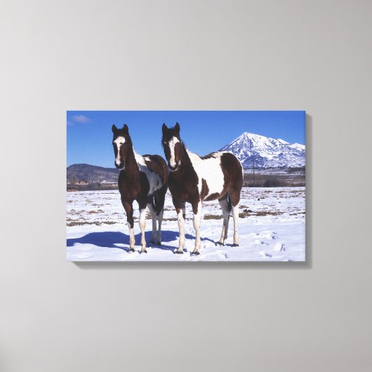 Paarden in de sneeuw canvas afdruk (Voorkant)