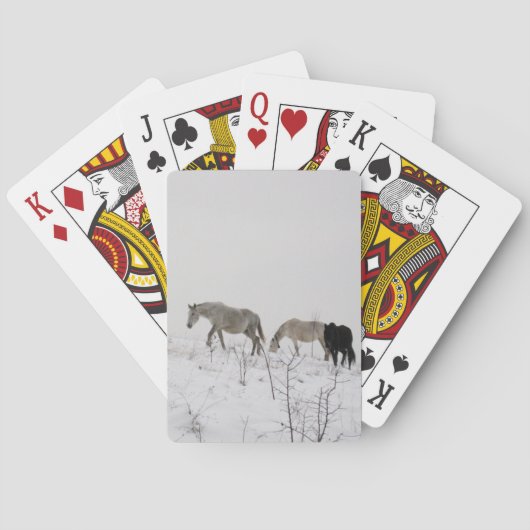 Paarden in de Sneeuw Klassieke Speelkaarten (Achterkant)