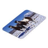 Paarden in de sneeuw magneet (Linkerzijde)