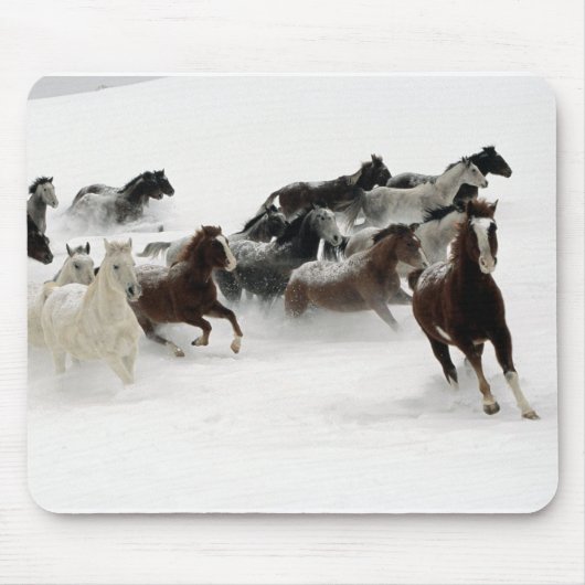 Paarden in de sneeuw muismat (Voorkant)
