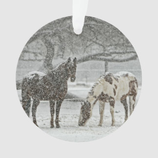 Paarden in de sneeuw ornament