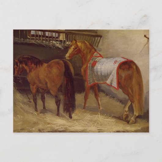 Paarden in de Stables Briefkaart (Voorkant)
