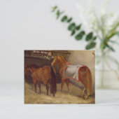 Paarden in de Stables Briefkaart (Staand voorkant)