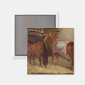 Paarden in de Stables Magneet (Voorkant / Achterkant)