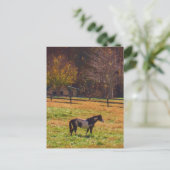 Paarden in de verte briefkaart (Staand voorkant)