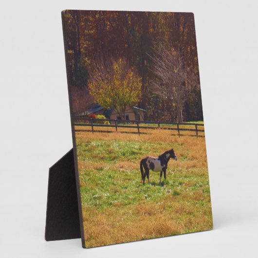 Paarden in de verte fotoplaat (Zijkant)