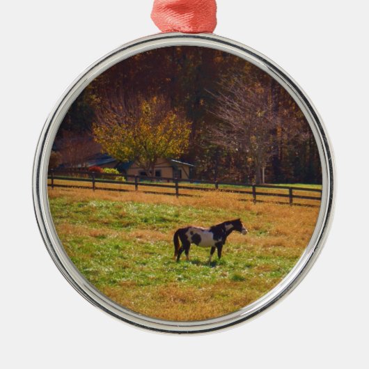 Paarden in de verte metalen ornament (Voorkant)