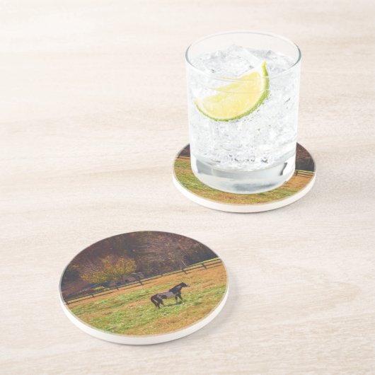 Paarden in de verte zandsteen onderzetter (Zijkant)