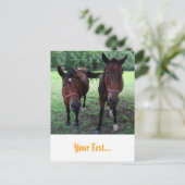 Paarden in de wei briefkaart (Staand voorkant)