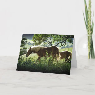 Paarden in de wei kaart
