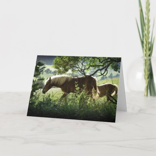 Paarden in de wei kaart (Voorkant)
