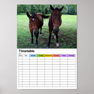 Paarden in de wei / Rooster Poster