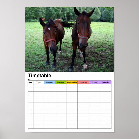 Paarden in de wei / Rooster Poster (Voorkant)
