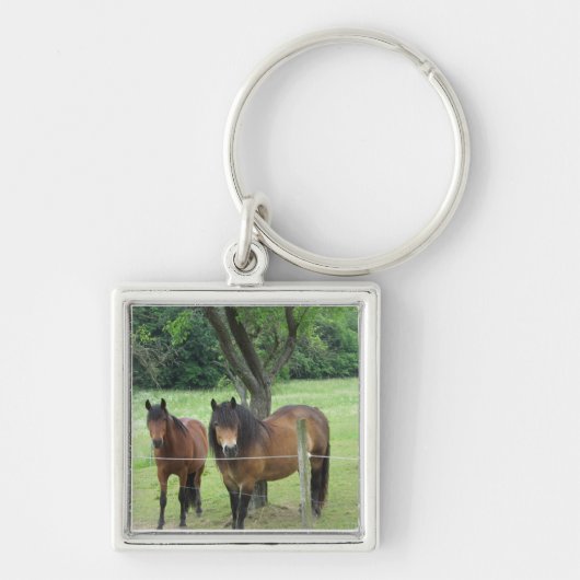 Paarden in de Weide Sleutelhanger (Voorkant)