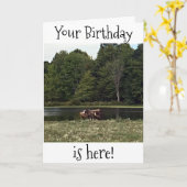 PAARDEN IN DE WEIDE ZIJN GEWELDIG VOOR JE VERJAARD KAART (Gele Bloem)